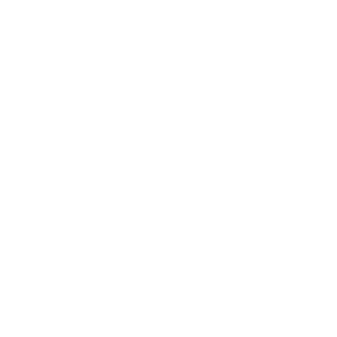 Playxchip Logo